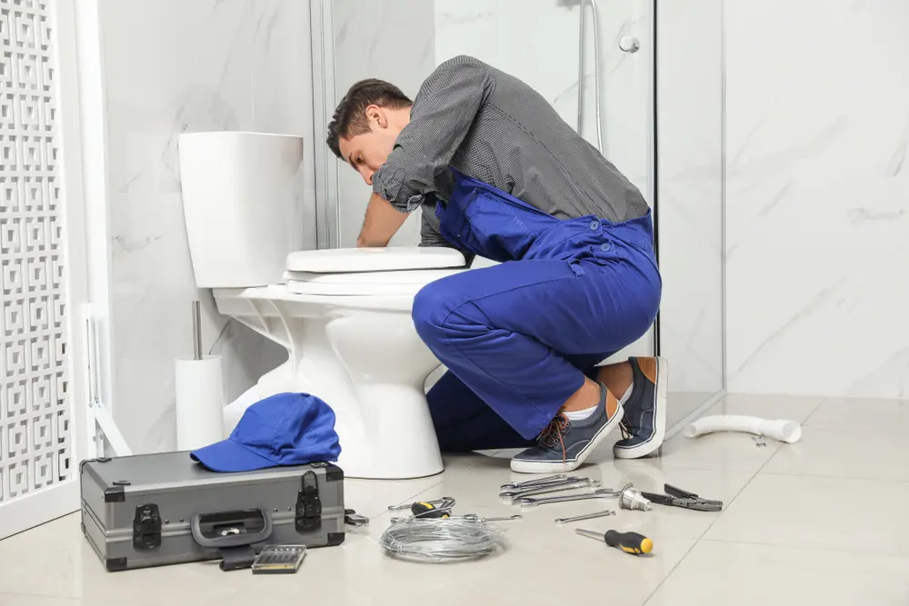 Toilet Installation in Lyndhurst